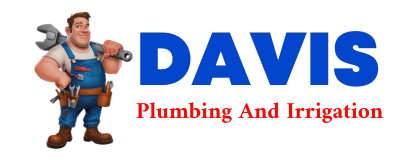 Trusted plumber in TONEY